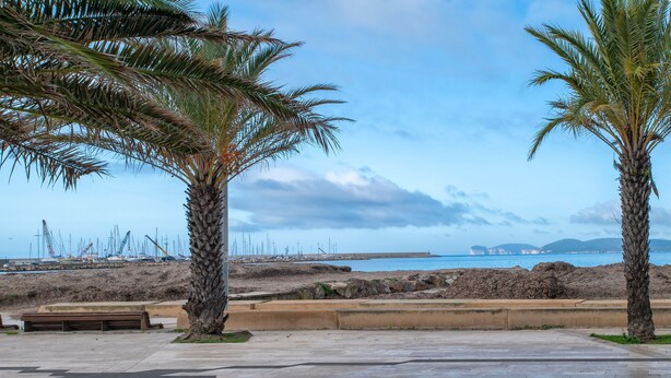 A coastal promenade with palm trees, benches, and a view of the sea and distant ships. - Piera's Apartment In Alghero – Steps from the Seafront, Ideal for Couples and Families (Alghero)
