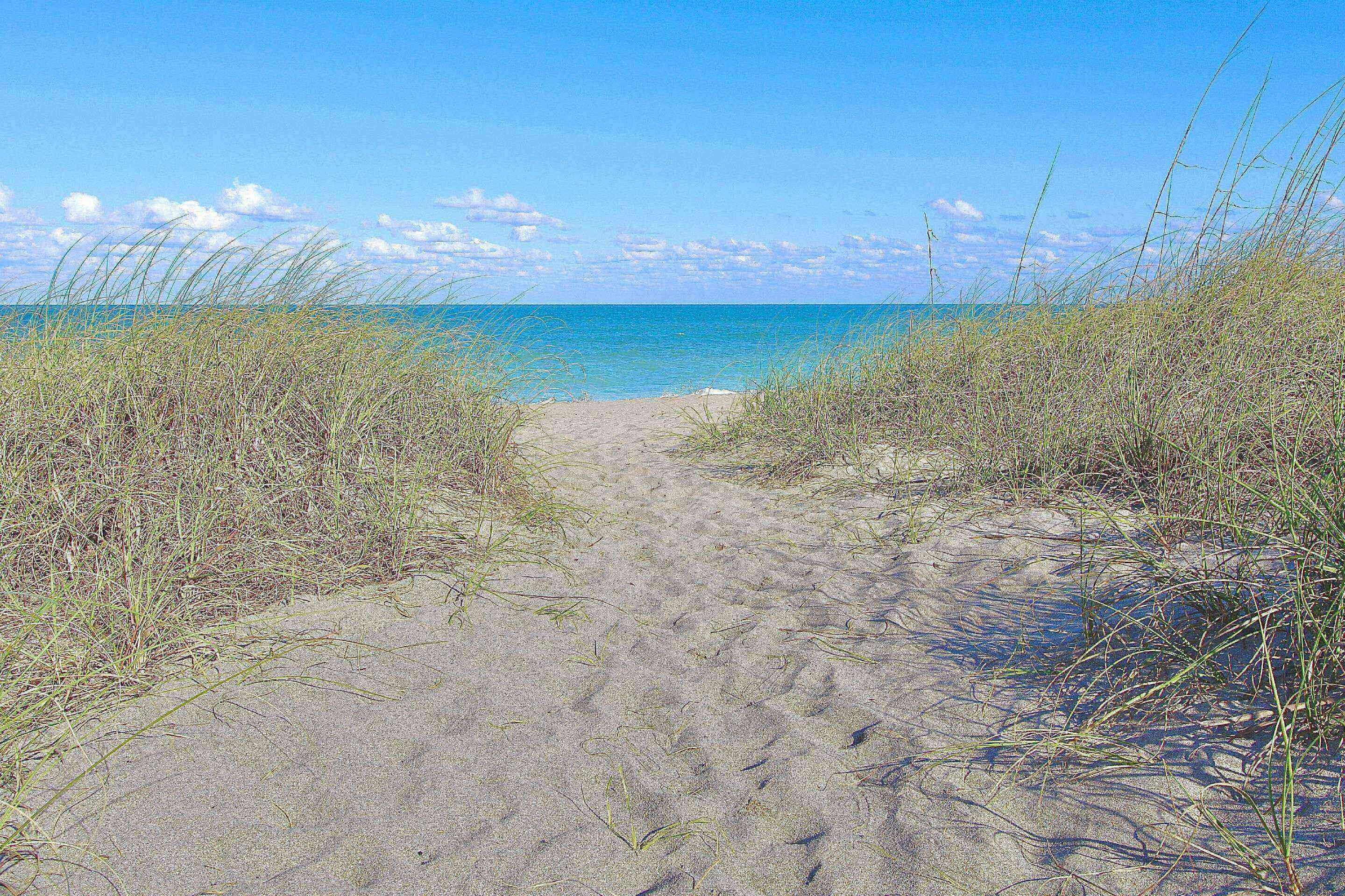 På stranden, strandhåndklær og fisking
