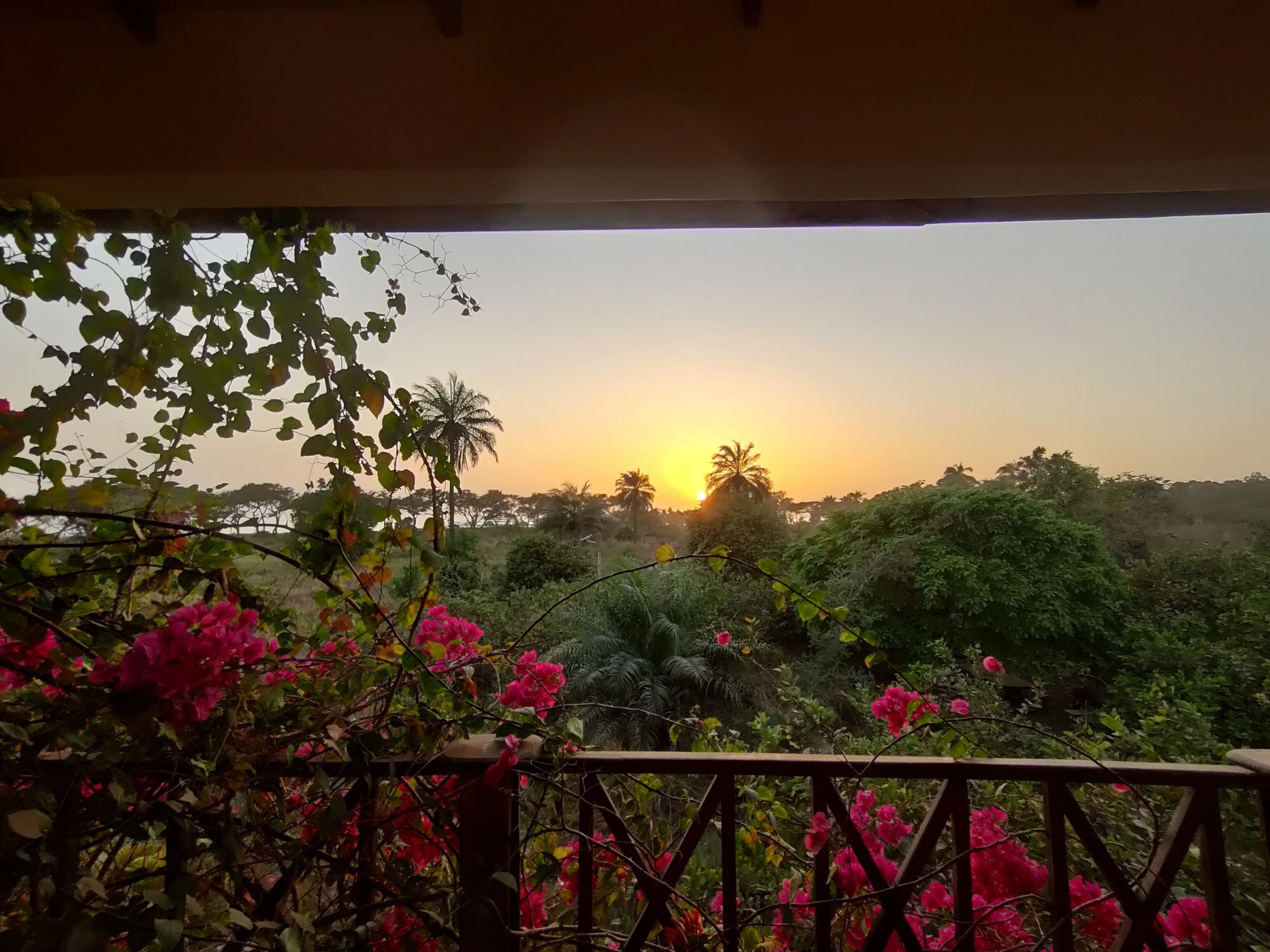 Comfort Apartment, Garden View | Terrace/patio