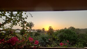 Comfort Apartment, Garden View | Terrace/patio - Mansa Mousso  (Sanyang)