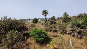 Exterior - Mansa Mousso  (Sanyang)