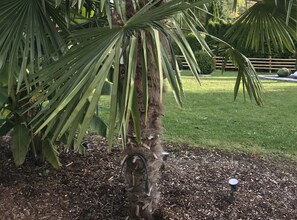 المنطقة المحيطة بالمنشأة