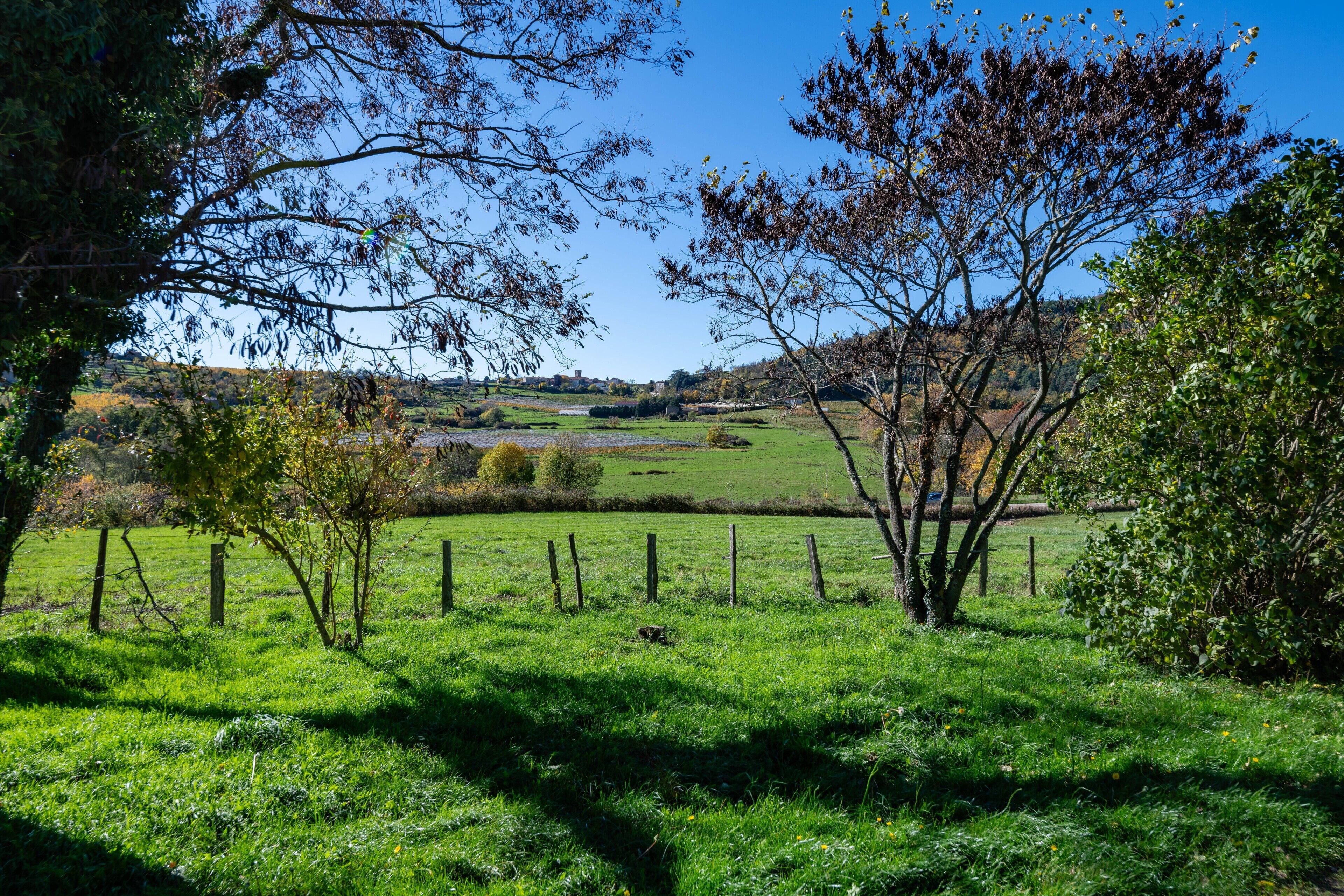 Paesaggio rurale con una recinzione, alberi e un campo.