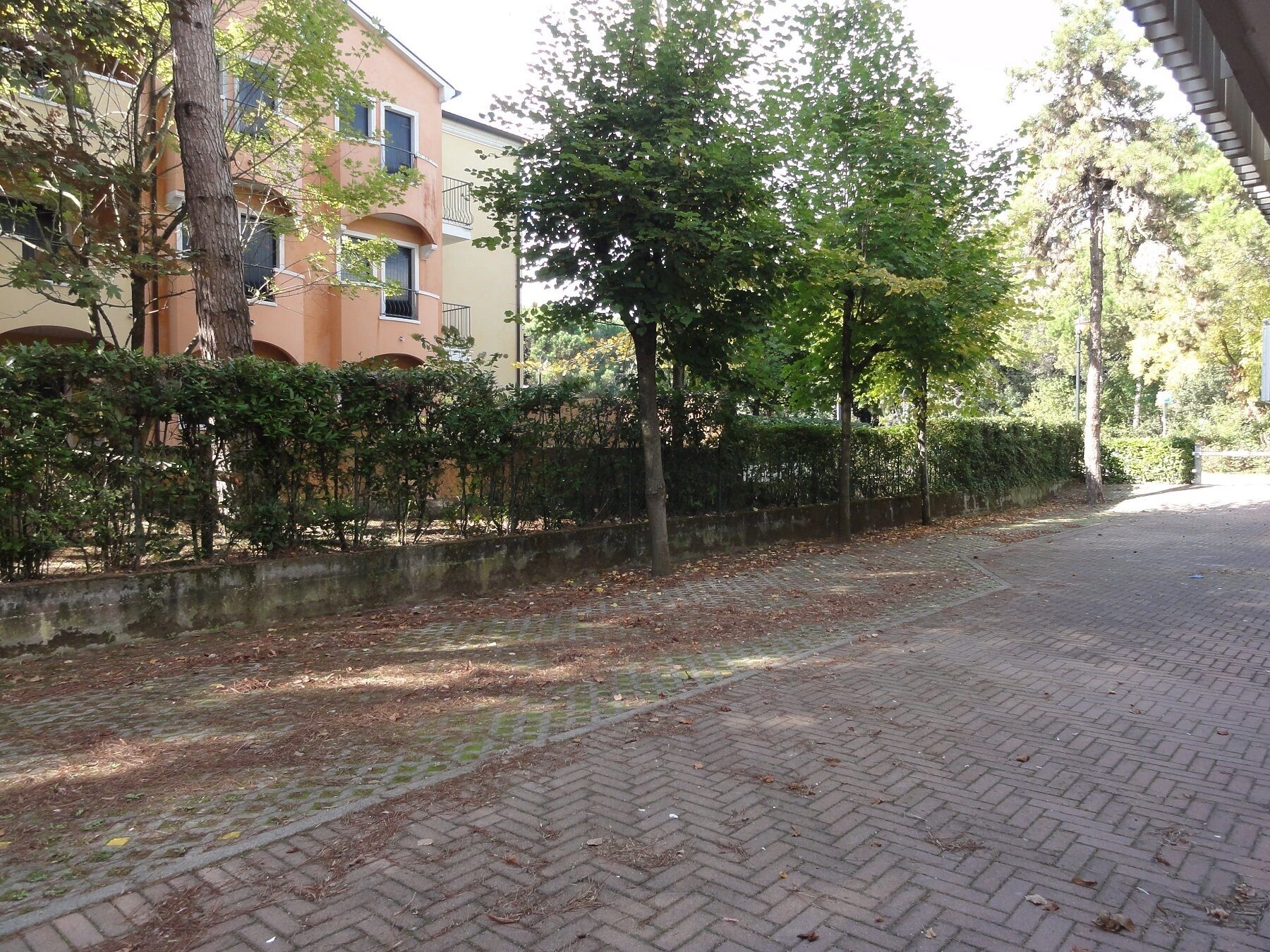 A paved pathway with a brick pattern, bordered by a low hedge and a wall.