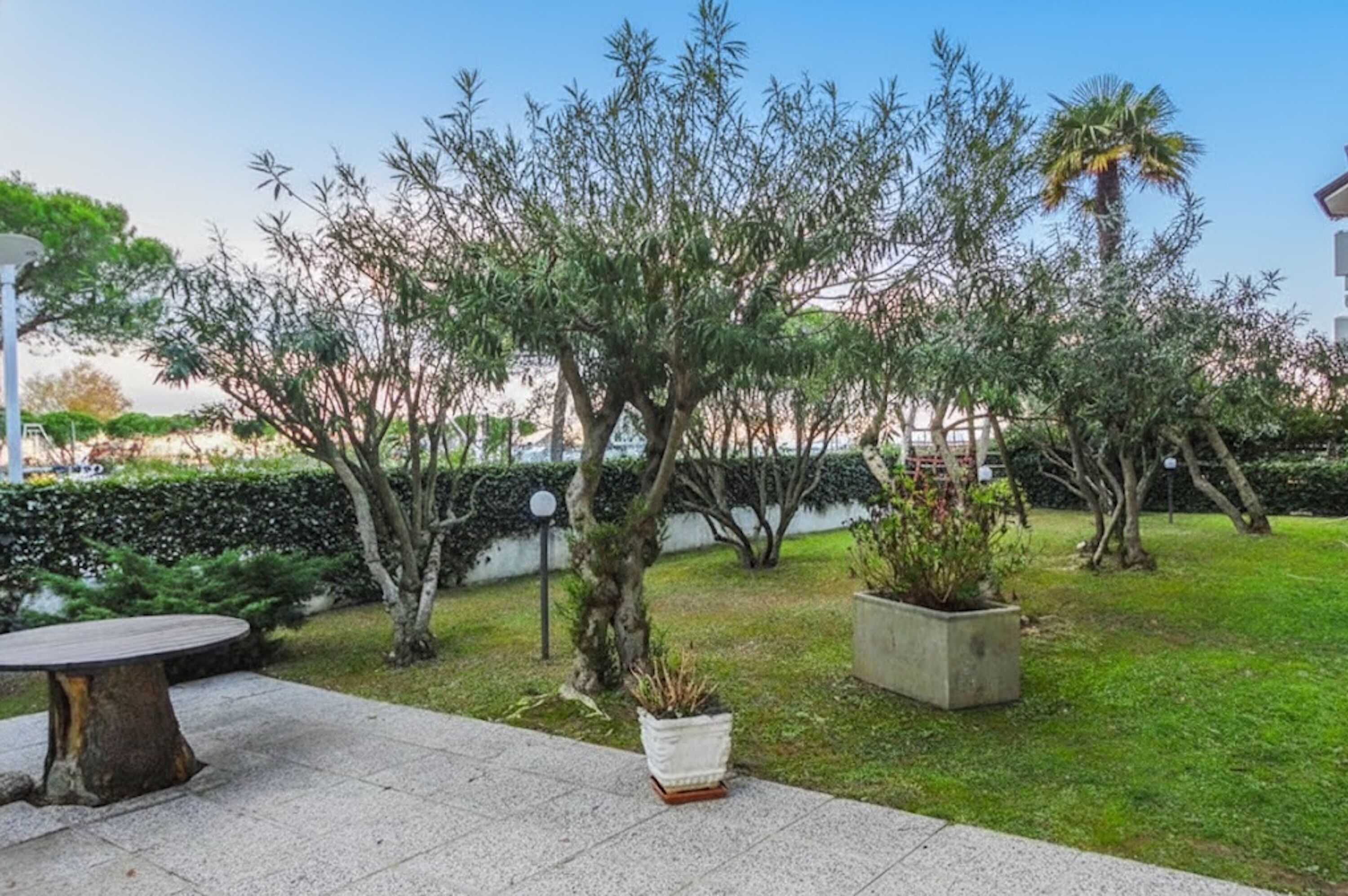 A landscaped garden with various trees and a seating area.