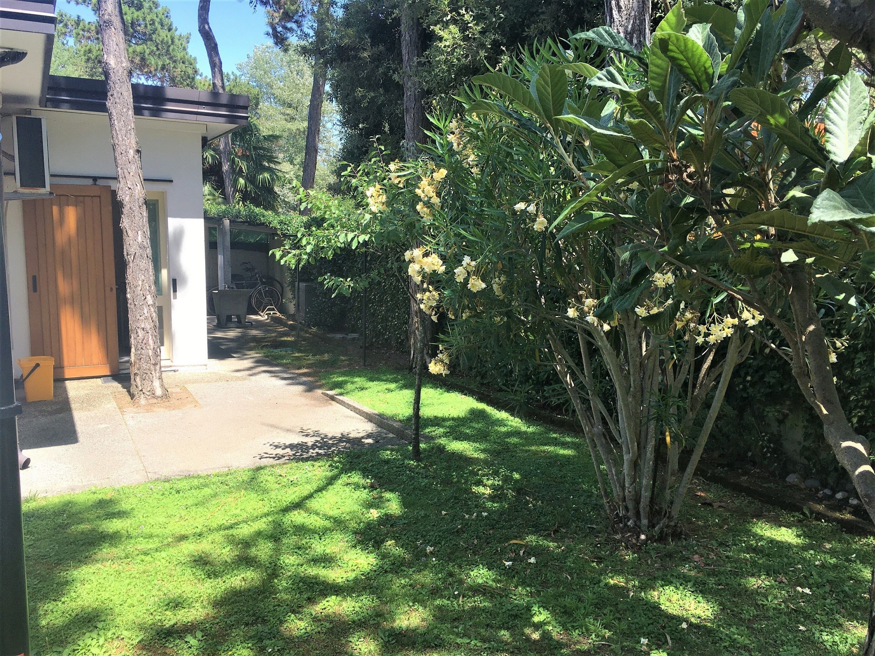 A residential property with a paved driveway leading to a wooden door, surrounded by lush greenery and a banana tree.