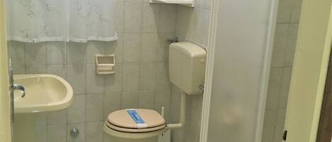 A small bathroom with a toilet, sink, and a shower stall.