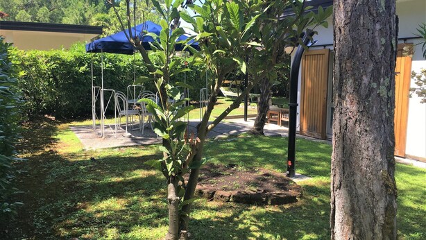 A garden with a small tree, a patio with outdoor furniture, and a building with a wooden door. - Bibione Pineda Villa With Porch and Garden (San Michele al Tagliamento)