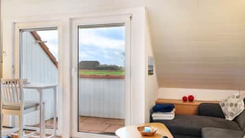 Televisio, DVD-soitin, pöytätennispöytä, stereot