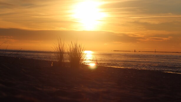A sunset over a beach with a distant bridge and a clear sky. - Meeresfeeling for 2: Cozy North Sea Apartment, 34 sqm, 1 Bedroom, Max 2 Guests (Horumersiel)