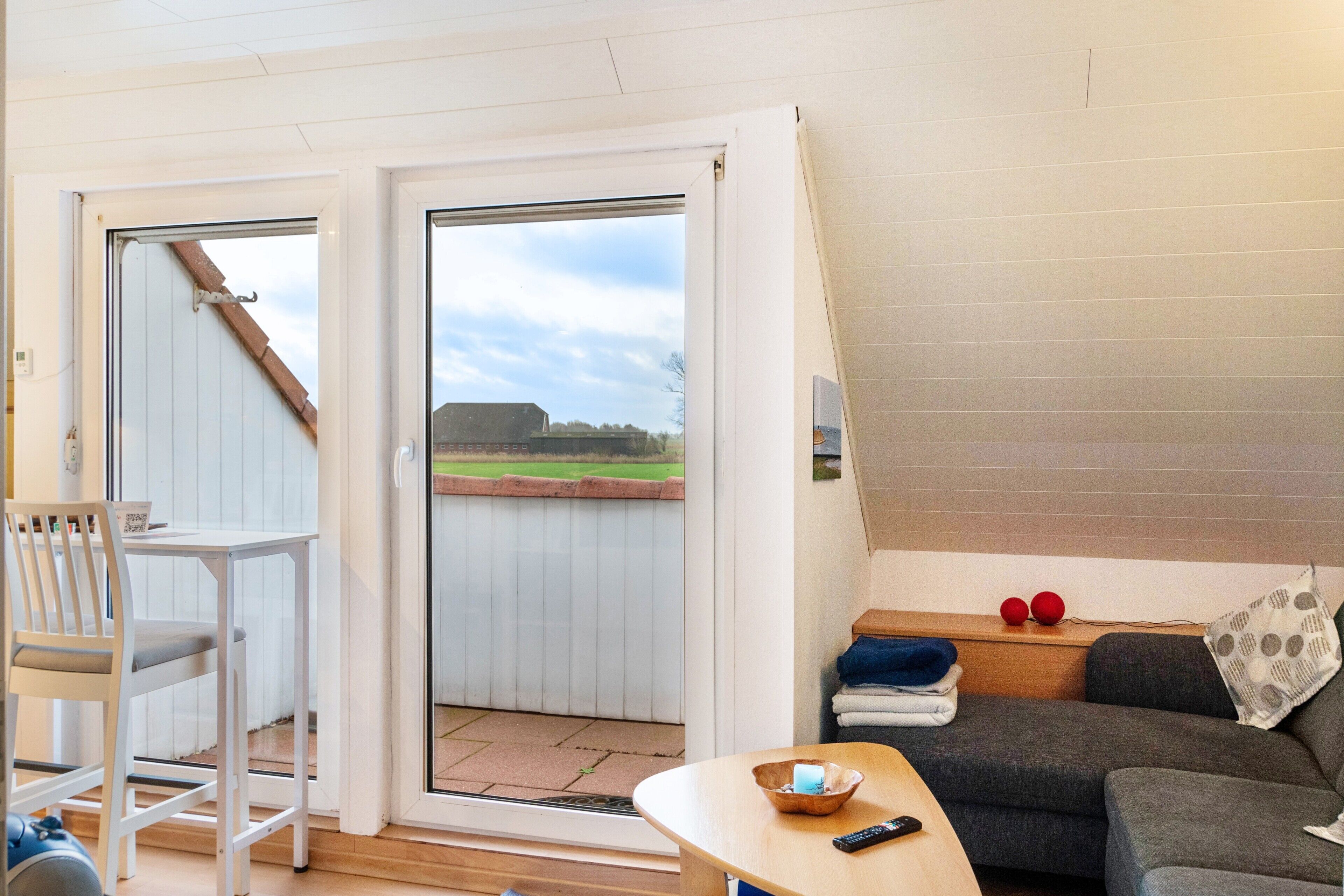 Televisión, reproductor de DVD, tenis de mesa y estéreo 