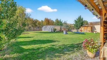 A backyard with a wooden pergola, a garden with various plants, a shed, and a small greenhouse.