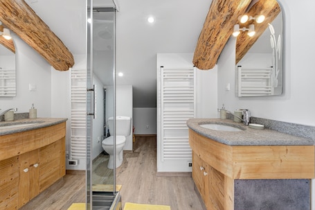 Shower, hair dryer, towels. Gîte la grange du logis