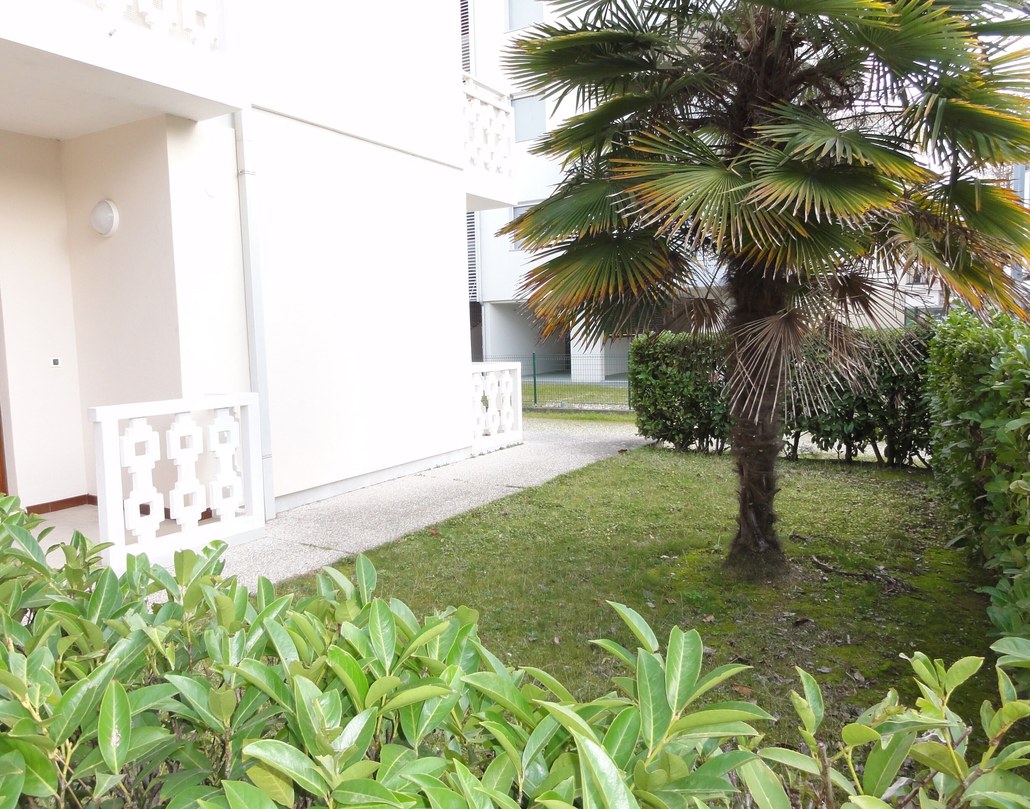 A building with a white exterior, a small lawn, and a palm tree.