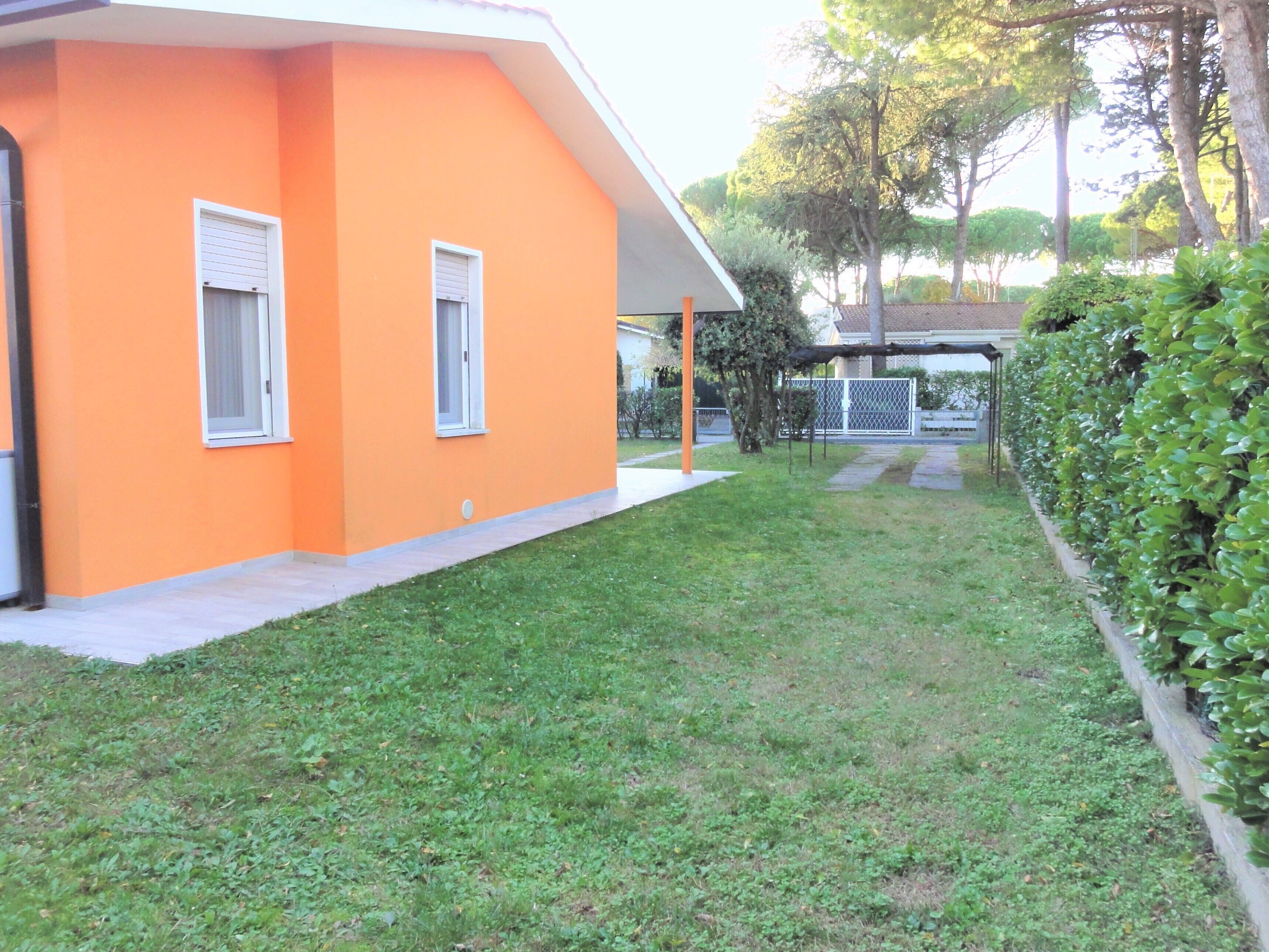 Taman