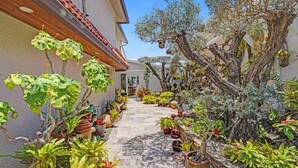 A narrow pathway flanked by potted plants and trees, leading to a building entrance.