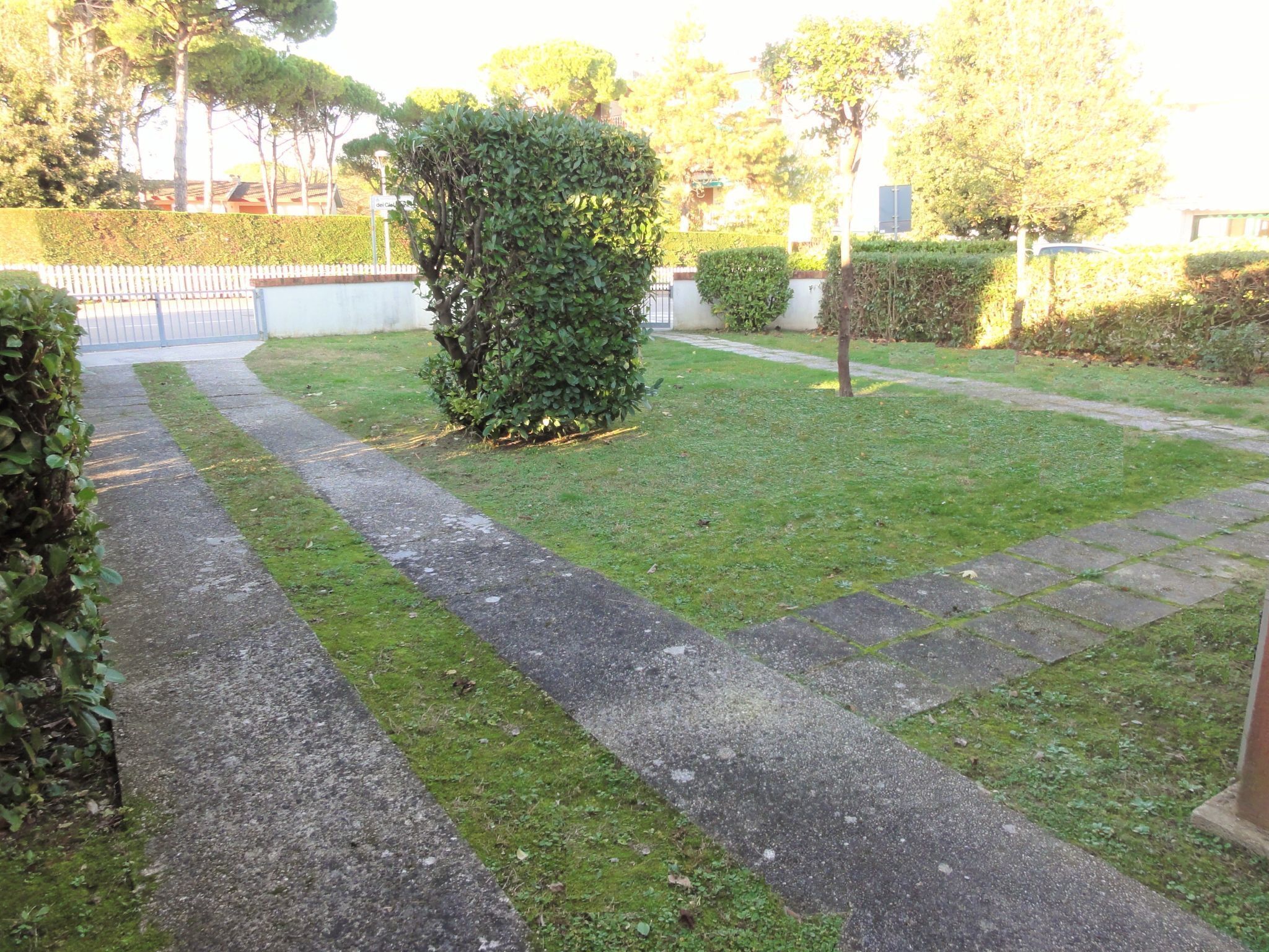 A paved pathway with grass and small bushes, leading to a gated entrance.