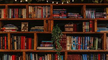 A bookshelf filled with books, including titles by Clive Cussler, and a small plant hanging in the center.