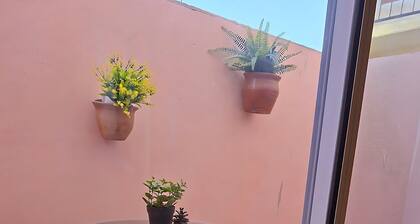 El Algarrobo: Good, Beautiful, and Affordable.