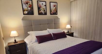 Fully equipped apartment, bedroom en suite in Valdivia, direct access to the city entrance.