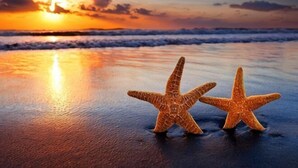 Two starfish on a beach with a sunset in the background. - Seminyak Icon Villa & Spa (Bali)