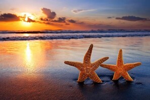 Two starfish on a beach with a sunset in the background. - Seminyak Icon Villa & Spa (Bali)