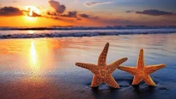 Uitzicht vanuit accommodatie