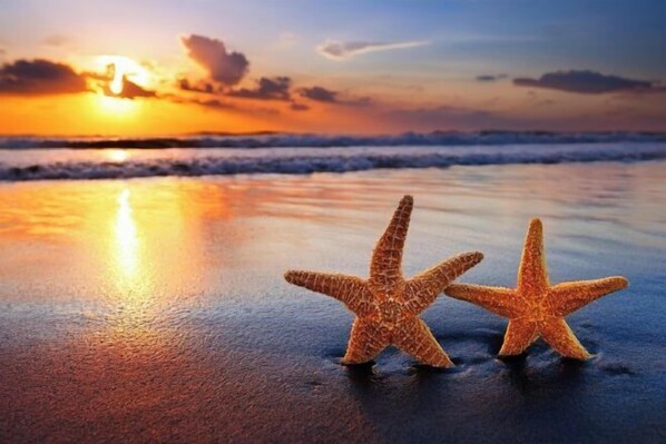 Pemandangan dari hartanah