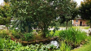 A pond surrounded by lush greenery, a small bridge, and a building in the background.
