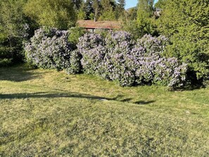 Maison | Enceinte de l’hébergement