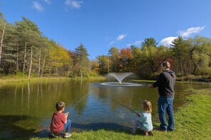 Miscellaneous - Finger Lakes Pondside Retreat for Families & Celebrations (Springwater)
