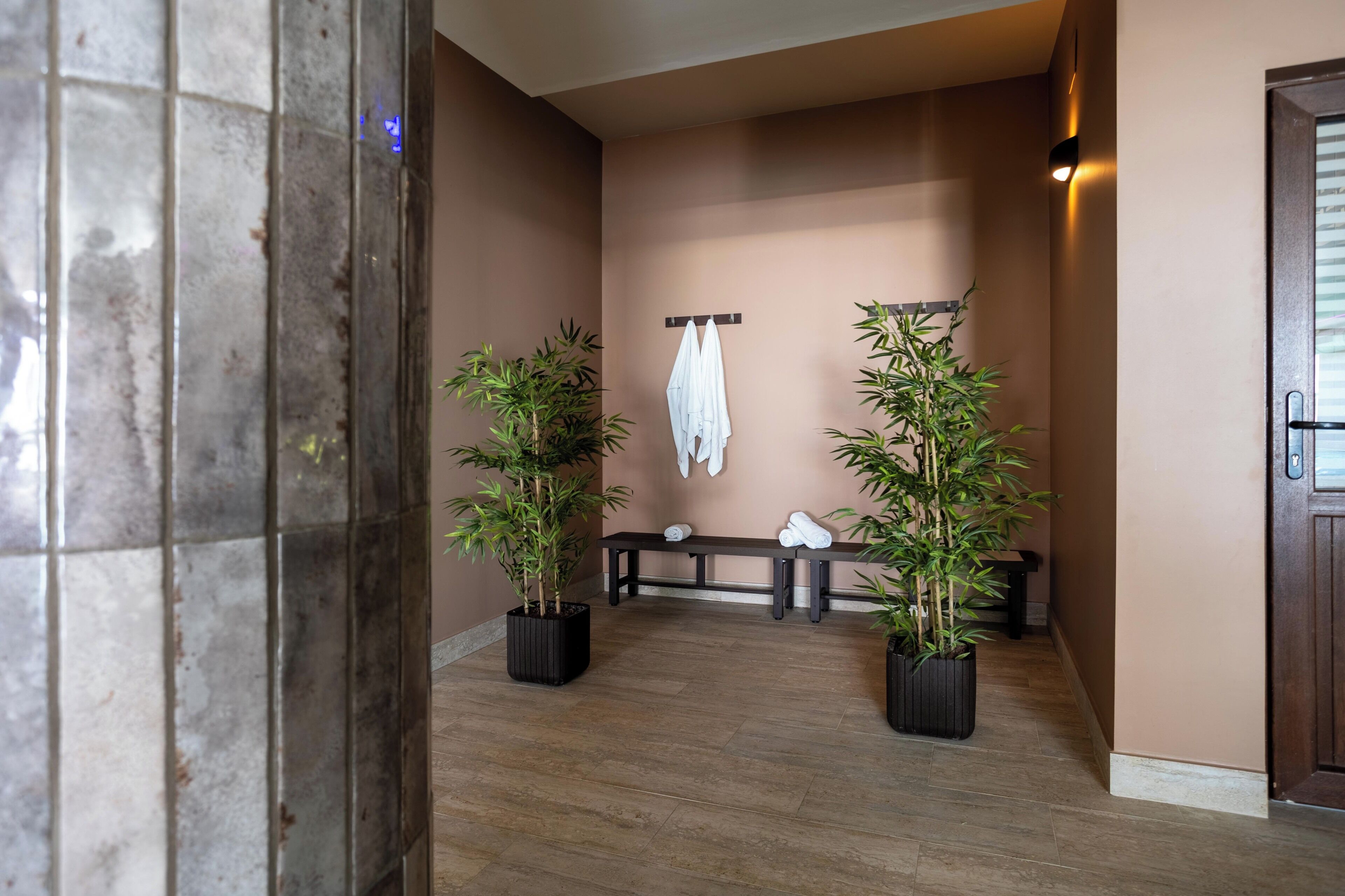 A hallway with a bench, two potted plants, a wall-mounted towel rack, and a door.