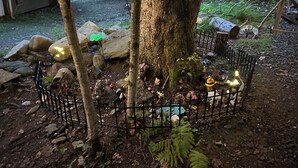 Un jardín vallado con un árbol, rocas y un pequeño estanque.