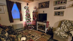 Una sala de estar acogedora con un árbol de Navidad decorado, un televisor y un tapete estampado.
