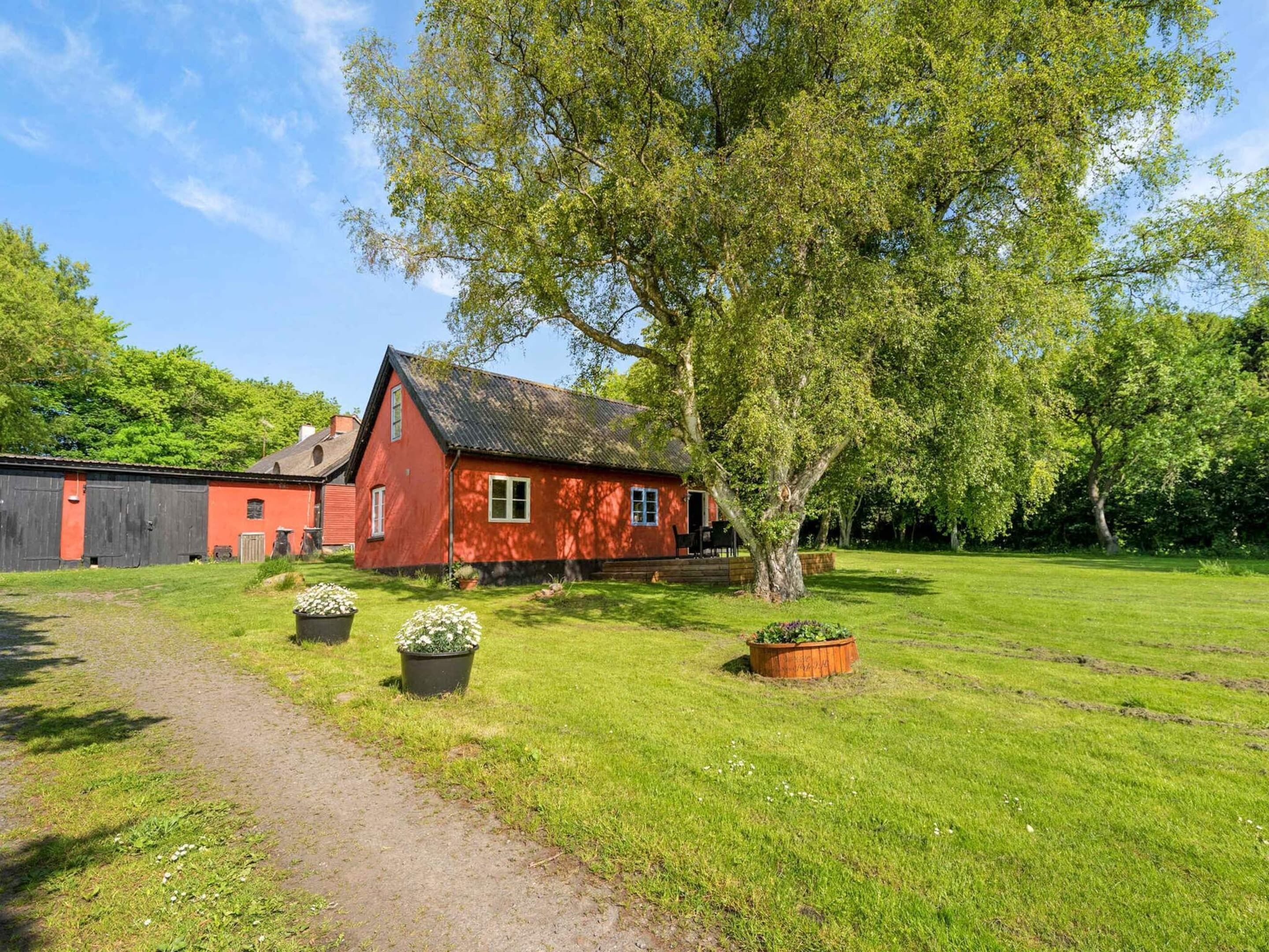 Ferienhaus | Außenbereich
