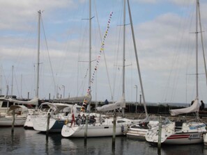 House | Exterior - 5 Star Holiday Home in Hornbaek (Hornbaek)