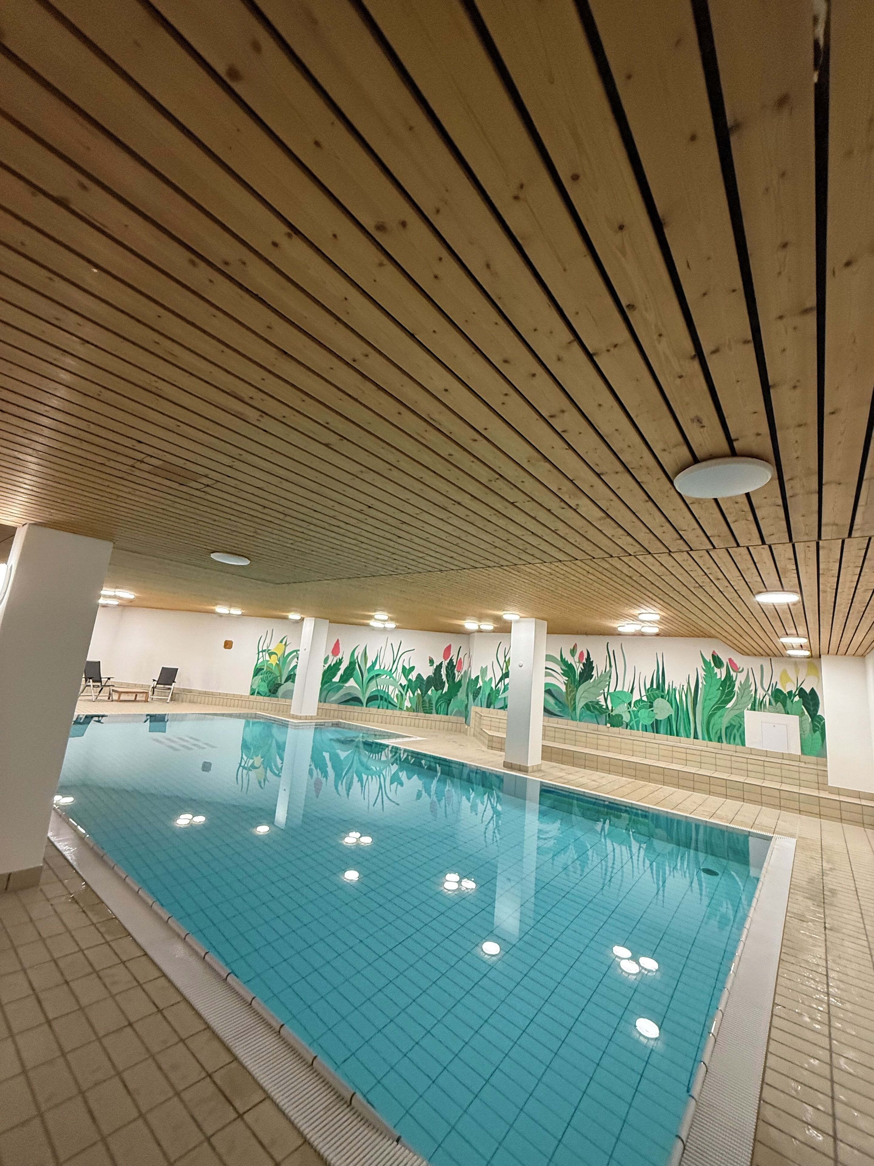 من حمّامات السباحة المغطاة، حمّام سباحة مُدفَّأ