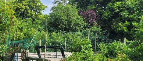 Casa | Área da propriedade