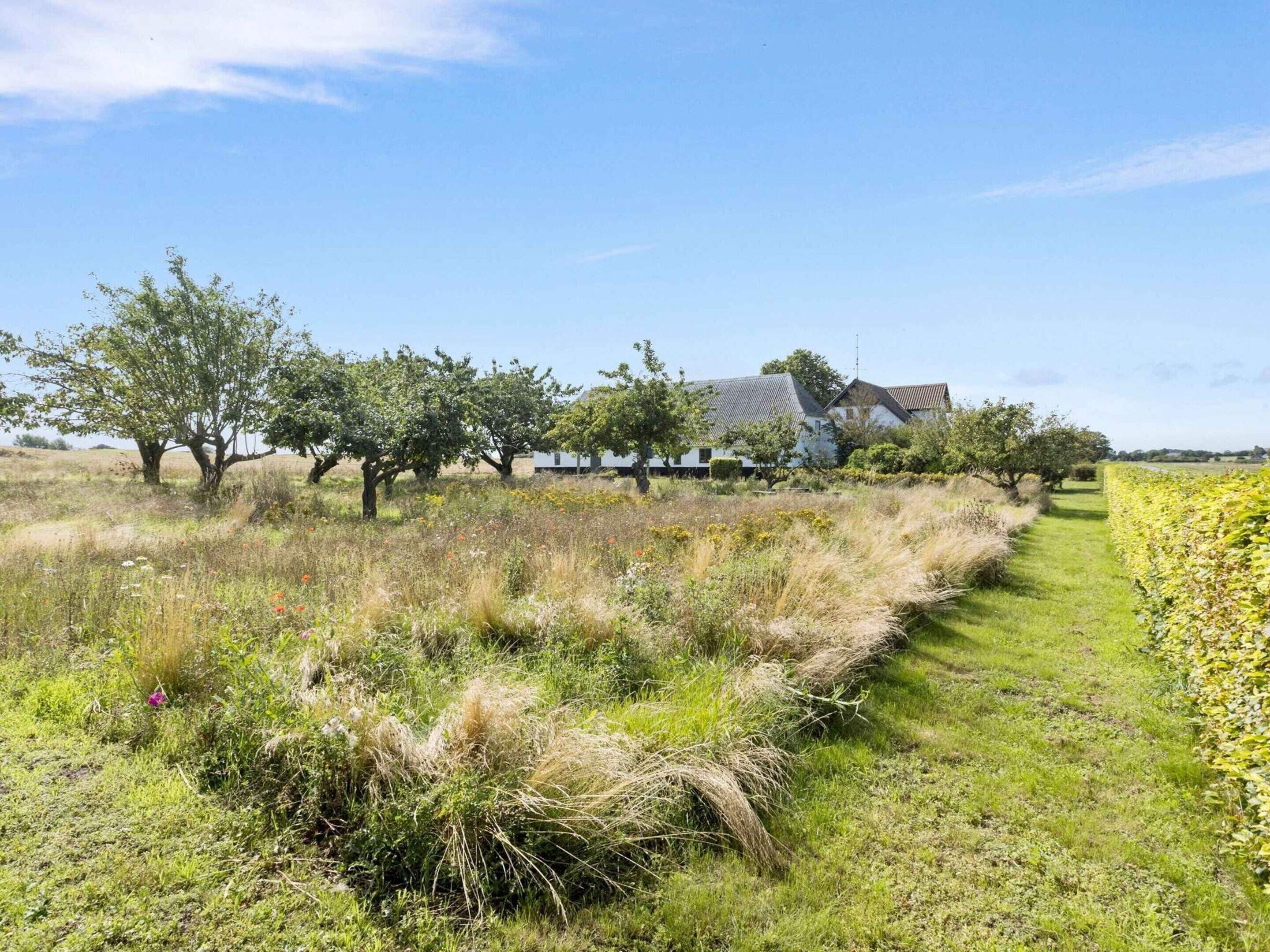 House | View from property