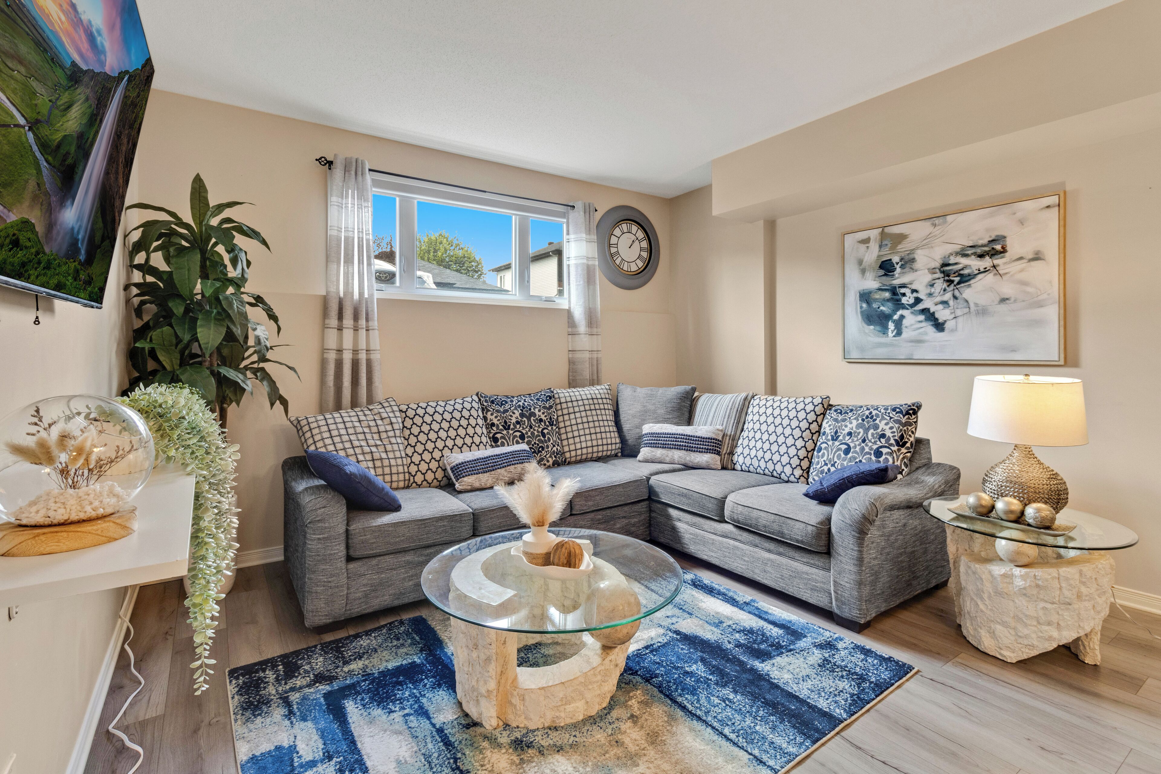 Smart TV, fireplace, books