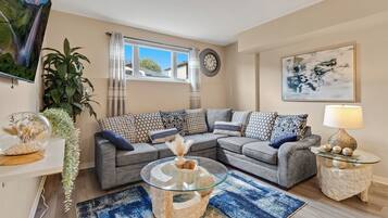 Smart TV, fireplace, books