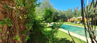 Escape to an Oasis of Serenity Private Villa in the Heart of Nature 1