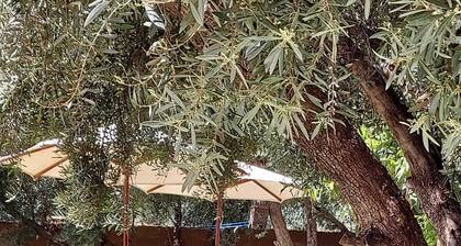 Escape to an Oasis of Serenity Private Villa in the Heart of Nature 1