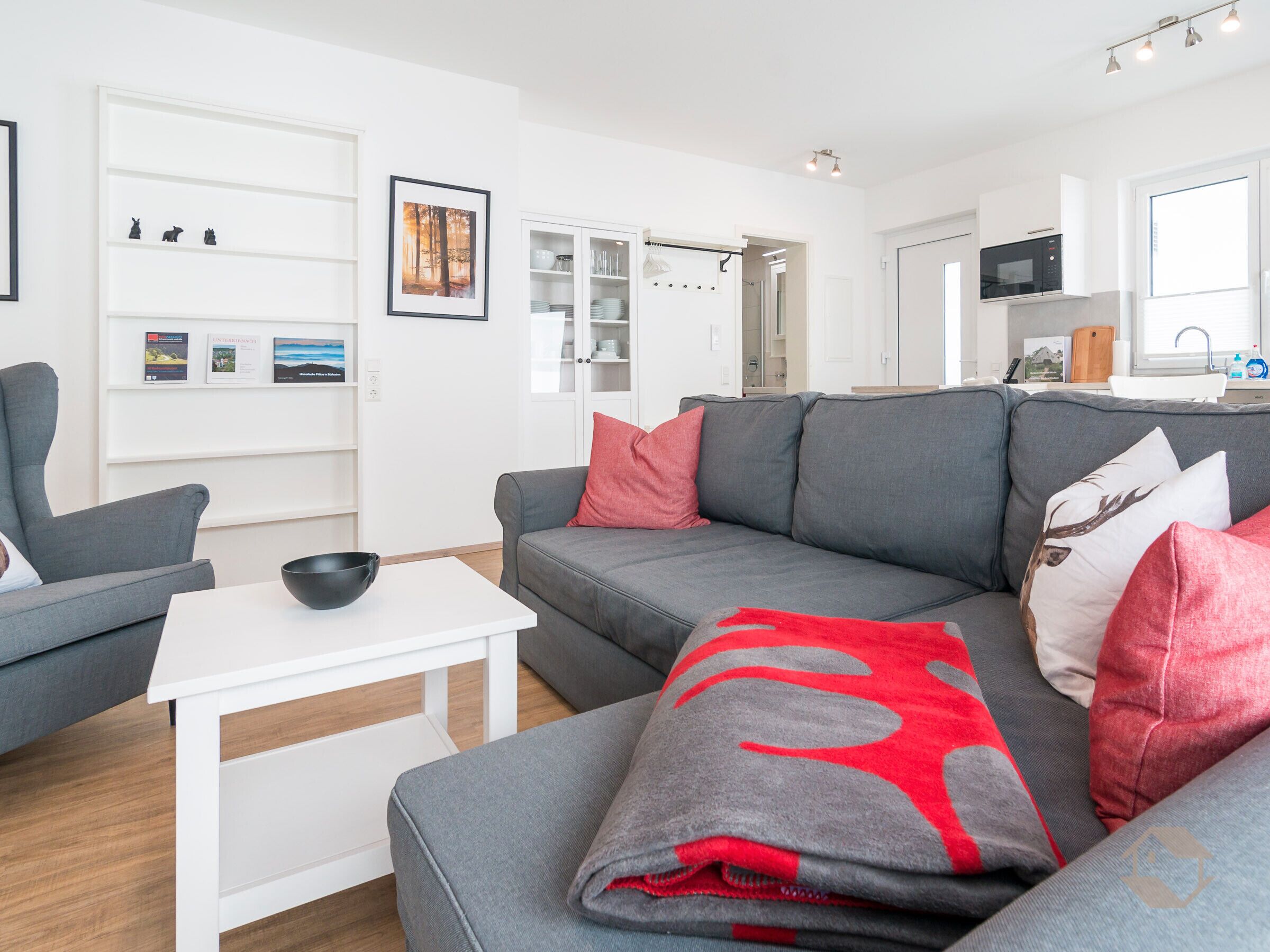 電視、DVD 播放機、音響