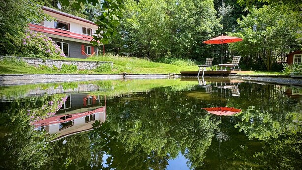 A house with a red roof, a pond, and a red umbrella. - Holiday Home 'Alpenblick' with Mountain View, Private Terrace and Wi-Fi (Rickenbach)
