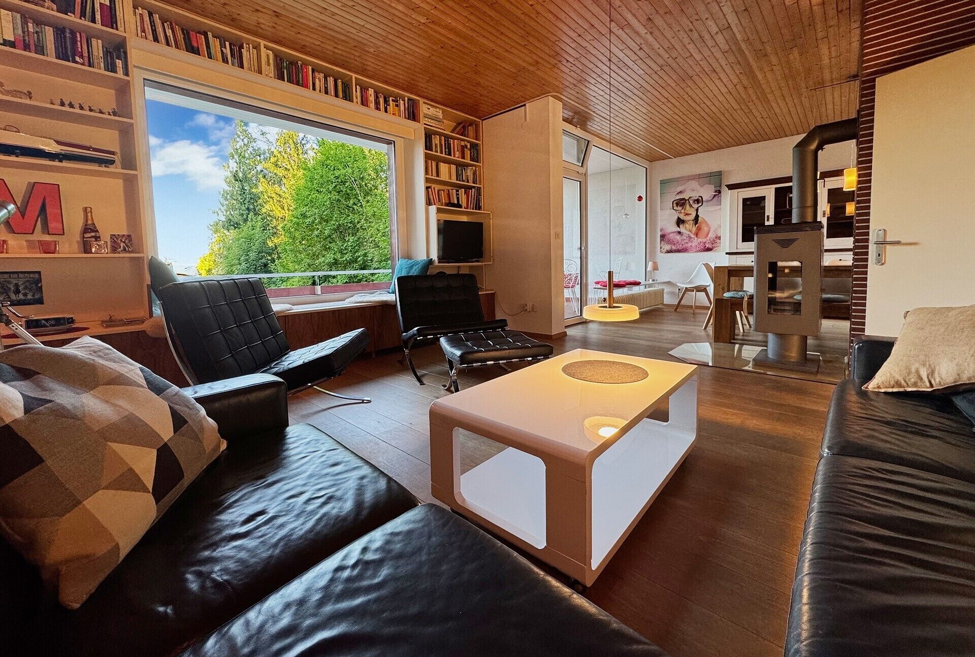 TV, fireplace, DVD player, ping pong