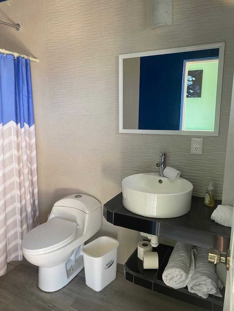 Un baño con inodoro, lavamanos y espejo.