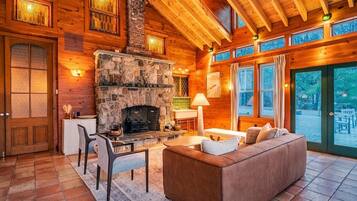 TV, fireplace, video games, table tennis