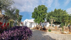 A cobblestone pathway leading to a white building with a large tree in front. - Holiday Home 'Casa A'Venda' with Mountain View, Wi-Fi and Air Conditioning (Moncarapacho)