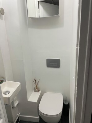 Hair dryer, bidet, towels, soap
